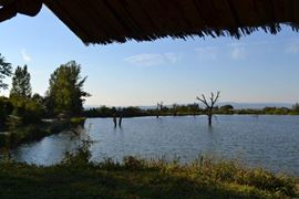 Balta Valea Morii Budila